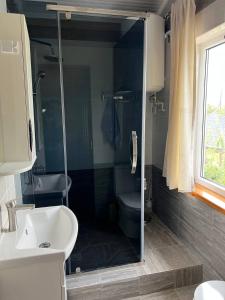 ein Bad mit einer Dusche, einem Waschbecken und einem WC in der Unterkunft Lakeside Villa Issyk Kul in Tscholponata