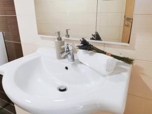 lavabo con papel higiénico y espejo en Apartment Jurčević, en Trogir