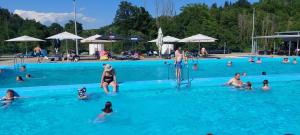 a group of people in a swimming pool at Kuća za odmor ,Erdelj 21 B in Generalski Stol