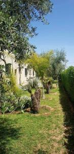 Сад в Villa Nathalie Marrakech