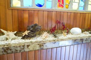 a counter with rocks and shells on a wooden wall at Hotel Brisa in A Coruña