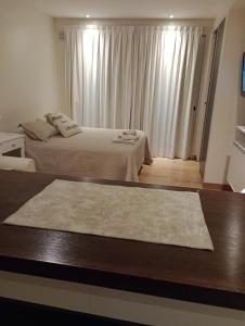 Habitación de hotel con 2 camas y alfombra en Excelente Monoambiente Monito 15 en La Plata