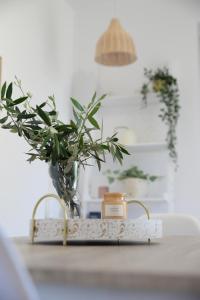 Fotografie z fotogalerie ubytování Myrtus Guest House v destinaci Myrties