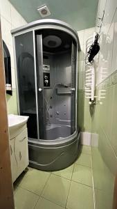 uma casa de banho com um lavatório e um chuveiro num quarto em Ny to Abzatc em Slavske