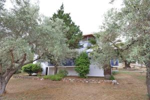 a white house with trees in front of it at Skopelos Panos Studios in Stafylos