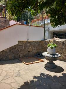 Gallery image of Villetta Panoramica in Ischia