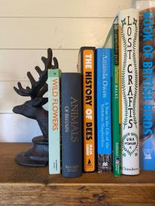 a row of books on a book shelf at Apple Hut in Torquay