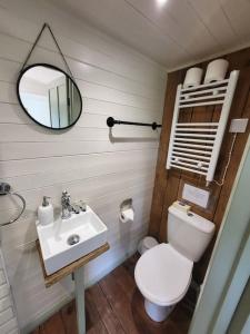 a bathroom with a toilet and a sink and a mirror at Apple Hut in Torquay