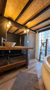 a bathroom with a sink and a toilet in a room at LOFT - Jardin des Plantes in Rouen