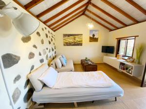 TV a/nebo společenská místnost v ubytování El Pirguan Holiday House, your oasis in La Gomera