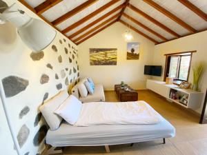 1 dormitorio con 1 cama y sala de estar en El Pirguan Holiday House, your oasis in La Gomera, en Vallehermoso