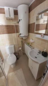 Baño pequeño con aseo y lavamanos en Къща за гости в селска местност, en Petrich