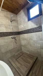 Ein Badezimmer in der Unterkunft Casa de lemn 2,Tip A