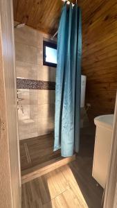 La salle de bains est pourvue d'une douche avec un rideau de douche bleu. dans l'établissement Casa de lemn 2,Tip A, à Corbu