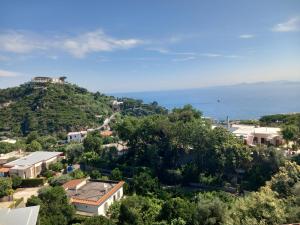 a town on a hill with the ocean in the background at Villetta Panoramica in Ischia