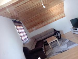sala de estar con sofá y techo de madera en Apartman JOVANA, en Žabljak
