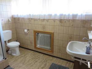 a bathroom with a toilet a sink and a radiator at Haus Elena in Lainach