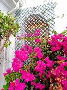 Fotografia z galérie ubytovania El Refugio Paz y Tranquilidad Benalmadena Costa del Sol v destinácii Benalmádena