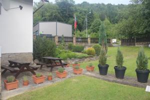 Zahrada ubytování Wellness pension Formanka