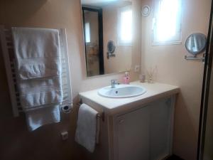 a bathroom with a sink and a mirror at CHARMANT 2 PIECES DANS VILLA INDIVIDUELLE TERRASSES JARDIN in Carros +31 photos