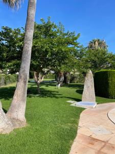a park with trees and a dog in the grass at Alcossebre, Apartamentos Hibiscus in Alcossebre