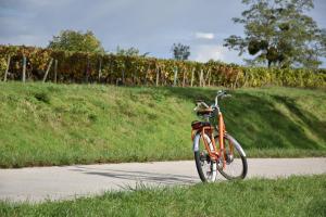 uma bicicleta laranja estacionada num caminho ao lado de um campo em Les Cabottes em Change