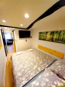 a bedroom with two beds and a flat screen tv at RABSKI DVOR in Rab