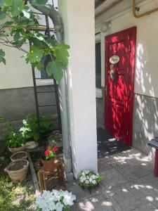 una puerta roja con un montón de plantas delante de ella en Repi-Tár apartman, en Szolnok