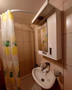 a bathroom with a sink and a shower curtain at Palanačka Avlija 3 in Ripanj
