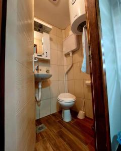 a small bathroom with a toilet and a sink at Palanačka Avlija 3 in Ripanj +11 photos