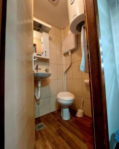 a small bathroom with a toilet and a sink at Palanačka Avlija 3 in Ripanj