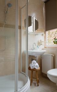 een badkamer met een douche, een wastafel en een toilet bij Logement Stedswal in Sloten