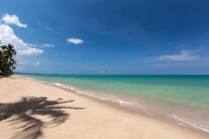 a palm tree on a beach with the ocean at JW Marriott Khao Lak Resort Suites in Khao Lak
