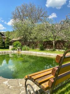 eine Parkbank vor einem Teich in der Unterkunft Вілла Бовч in Jaremtsche