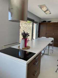 eine Küche mit einer Arbeitsplatte mit einer Pflanze darauf in der Unterkunft Casa en el Atlantico, Villa encima del Mar, A Guarda, Rias Bajas in A Guarda