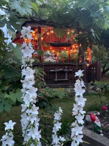 a group of white flowers in front of a house at Locuința extraodinară cu șemineu ,grădina , foișor in Breaza