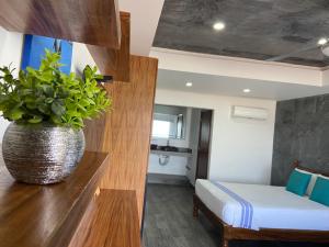 una camera d'albergo con una pianta su un bancone in legno di HOTEL EL CORAL a Punta Mita