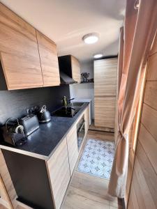 Chalet Millou Beuil的厨房或小厨房