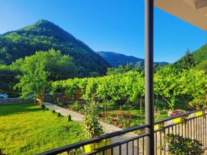 a view of a vineyard from the balcony of a house at Family hotel mountain panorama in Borjomi