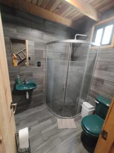 een badkamer met een douche, een toilet en een wastafel bij Cabaña Los Nogales in Pátzcuaro