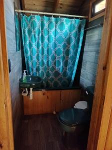 y baño con cortina de ducha azul y aseo. en Cabaña Los Nogales, en Pátzcuaro