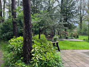 un parque con un banco y un árbol y arbustos en Boshuisje en Haaksbergen