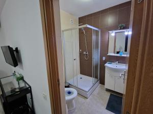 a bathroom with a shower and a toilet and a sink at Tecoma Rooms Mamaia in Mamaia Sat/Năvodari +23 photos