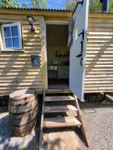 a wooden cabin with a door and a ladder and a barrel at Plum Hut in Torquay