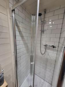 a shower with a glass door in a bathroom at Plum Hut in Torquay