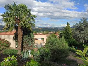 a garden with a palm tree and other plants at villa josepha in Cournon-dʼAuvergne