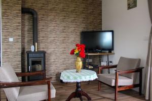 a living room with a vase of flowers on a table at Villa Sladjana in Mladenovac
