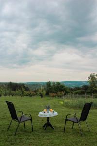 ムラデノバツにあるVilla Sladjanaの野原の椅子2脚とテーブル