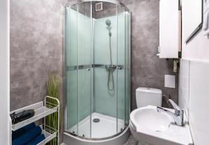 a bathroom with a shower and a toilet and a sink at SKY Apartment 2 in Oświęcim