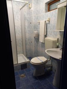 La salle de bains est pourvue de toilettes, d'un lavabo et d'une douche. dans l'établissement Garni Hotel Lupus, à Kanjiža